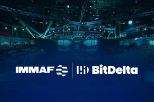 BitDelta and IMMAF