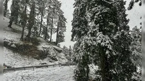 PTI : Snow covered Himachal in December 2024