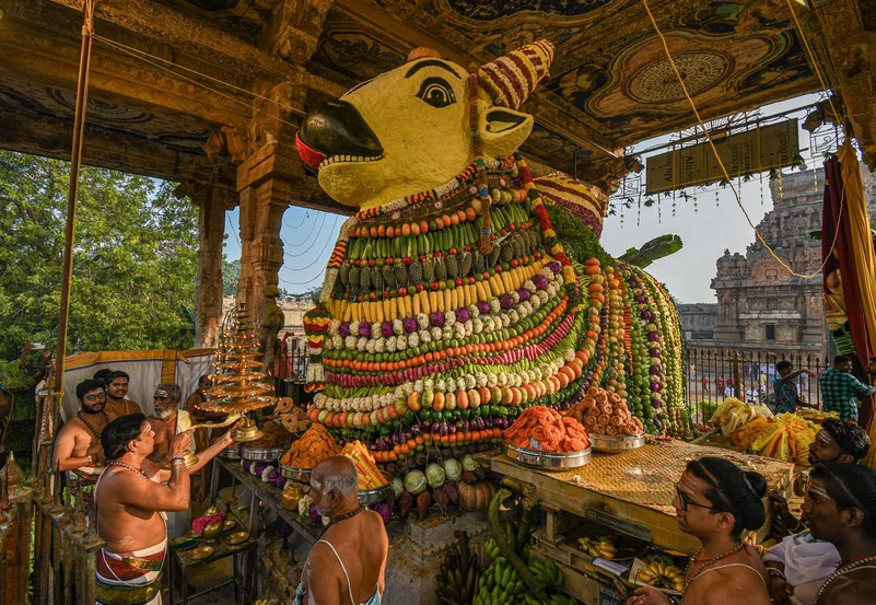 Pongal in Thanjavur