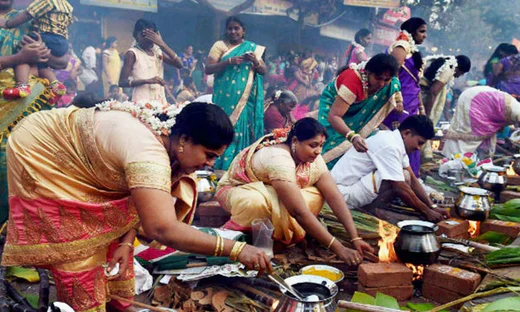 Pongal in Mahabalipuram