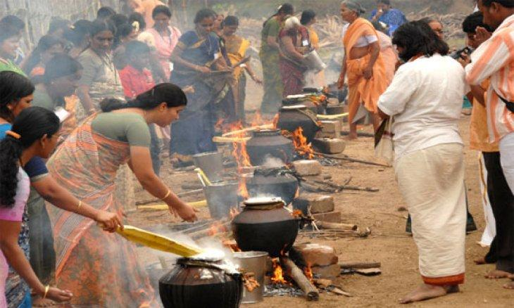 Pongal in Coimbatore