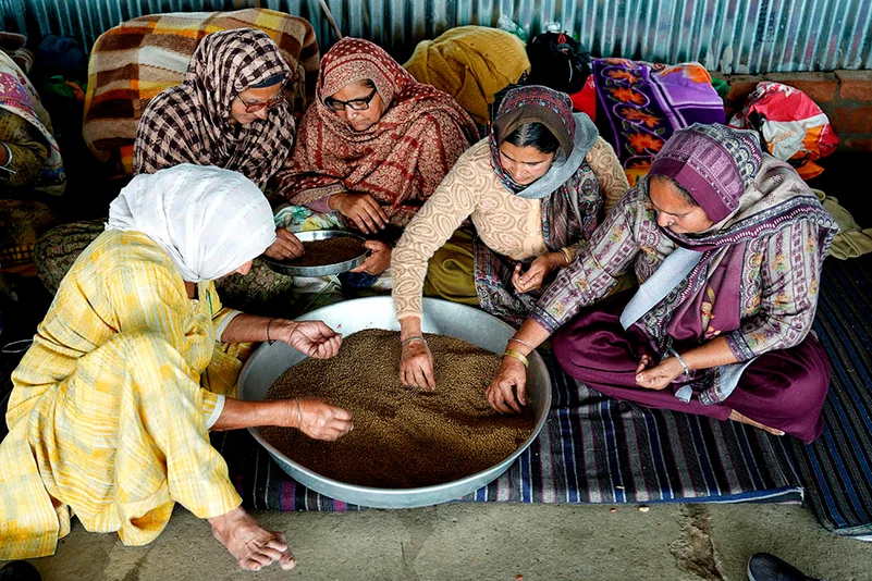 Women Protesting At Shambhu Border photo_7