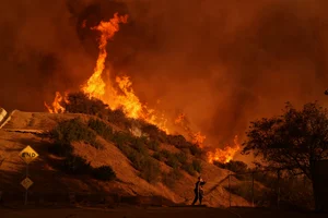 AP Photo/Jae C. Hong : A firefighter battles the Palisades Fire in Mandeville Canyon Saturday, Jan. 11, 2025, in Los Angeles. 