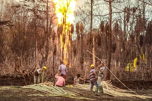 'Nonchalantly Violated Law': Assam's Pollution Control Board Asks OIL To Close Operations At Explosion Site