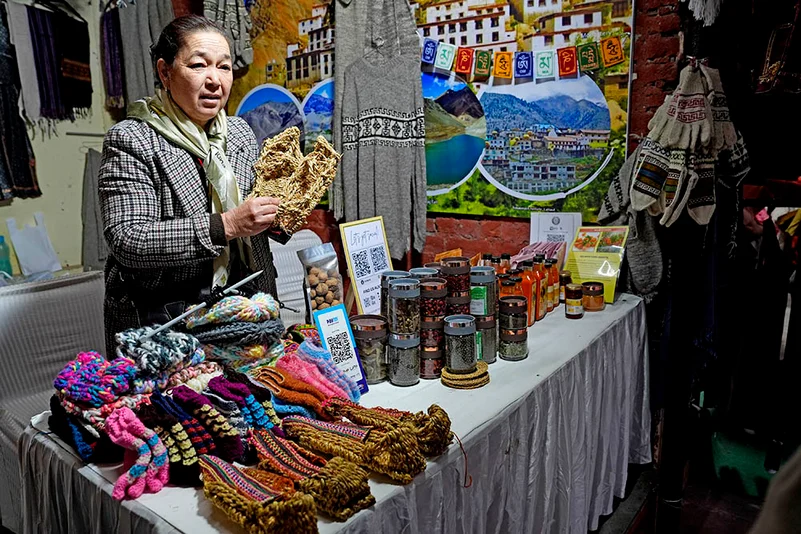 Him Mahotsav at Dilli Haat INA Market in Delhi: 10