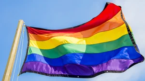 A rainbow flag representing the LGBTQ community