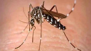 Delhi Dengue Cases (Representational Image)