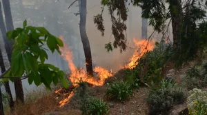 File Photo : Fire Breaks Out In Forest Area In Udhampur |