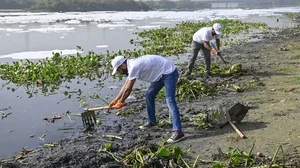 DDA Conducts Anti-Encroachment Drive In Yamuna Flood Plains