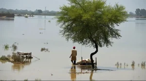 Extreme climatic events, such as last year's Pakistan floods, have got more frequent lately.