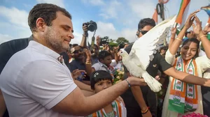 Congress leader Rahul Gandhi during Bharat Jodo Yatra in Kanyakumari