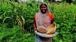 Bhooli has been dutifully selecting, preserving indigenous seeds for more than 6 years