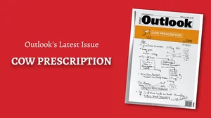 Outlook's Latest Issue: Cow Prescription