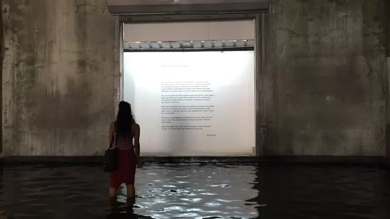 Sea of Pain by Raul Zurita at a previous edition of the Kochi Biennale.