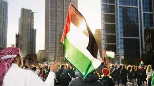 United Voices: Hundreds of people marched through London on November 11 calling for a ceasefire in Gaza 