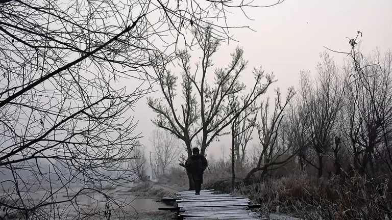 Winter in the Valley: A man crosses a footbridge at the floating vegetable market of Dal Lake, Srinagar on a wintry morning - null