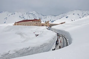 Shutterstock : The snow walls of the Tateyama-Kurobe Alpine Route