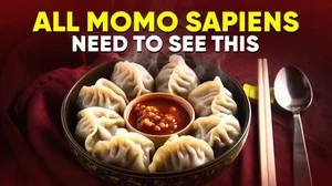 The Untold Journey Of Momo