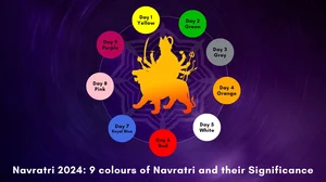 Navratri 2024: 9 Colours Of Navratri And Their Significance