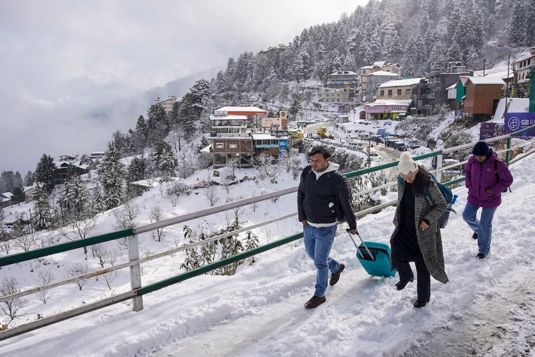 Weather: Snowfall in Shimla - | Photo: PTI