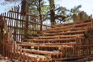 Credit: North-Eastern Hill University : The living root pavilion under construction at Shillong’s North-Eastern Hill University takes inspiration from living root bridges in Meghalaya.