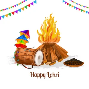 Why Throw Food In The Fire? Lohri FAQs & Traditions