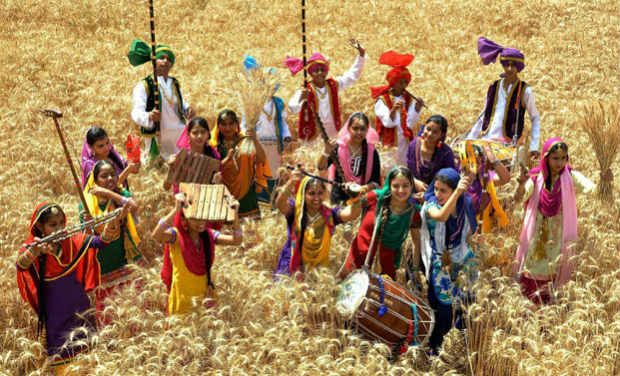 Which crops are harvested on Lohri