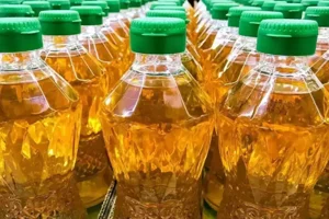 Nitin Gadkari Calls For Palm Oil Disclosure: What Does It Mean For Industry And Consumers?