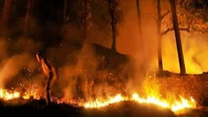 PTI : Uttarakhand forest fire |