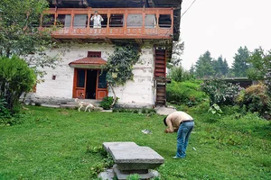 Photo: Tribhuvan Tiwari : God Like: Octogenarian head priest Pandit Oth Ram Sharma at Bithu temple in Bathwada, Mandi