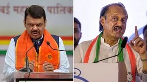 PTI : BJP leader Devendra Fadnavis and NCP leader Ajit Pawar |