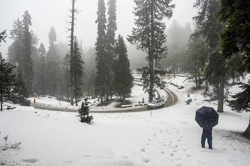 Snowfall in J&Ks Gulmarg