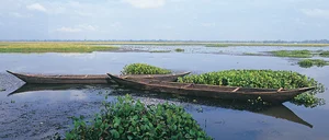 Shutterstock : Majuli is the world's largest riverine island on the Brahmaputra