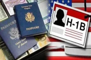 Explained: What Are H-1B Work Visas, Requirements, Old Lottery System, And New Wage-Based Rules?