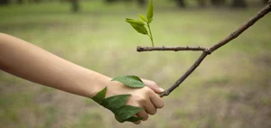 Shutterstock : Many forest warriors have made it their mission to protect the green cover of India. 