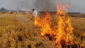 File Image : Stubble Burning