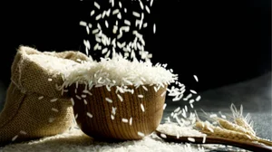 | Photo: iStock : Centre Lifts Blanket Ban On Export Of Non-Basmati White Rice 