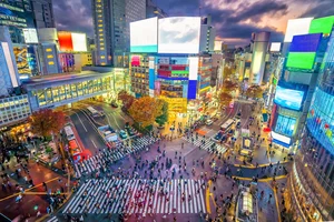 f11photo/Shutterstock : Shibuya crossing at twilight in Tokyo