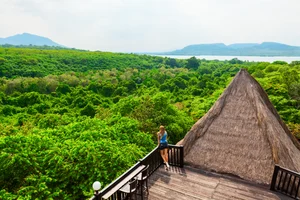 Dmosreg/Shutterstock : The rainforest of West Bali National Park is a gem waiting to be explored